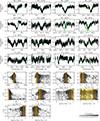 Thumbnail: Fig. 5. Refer to the following caption and surrounding text.