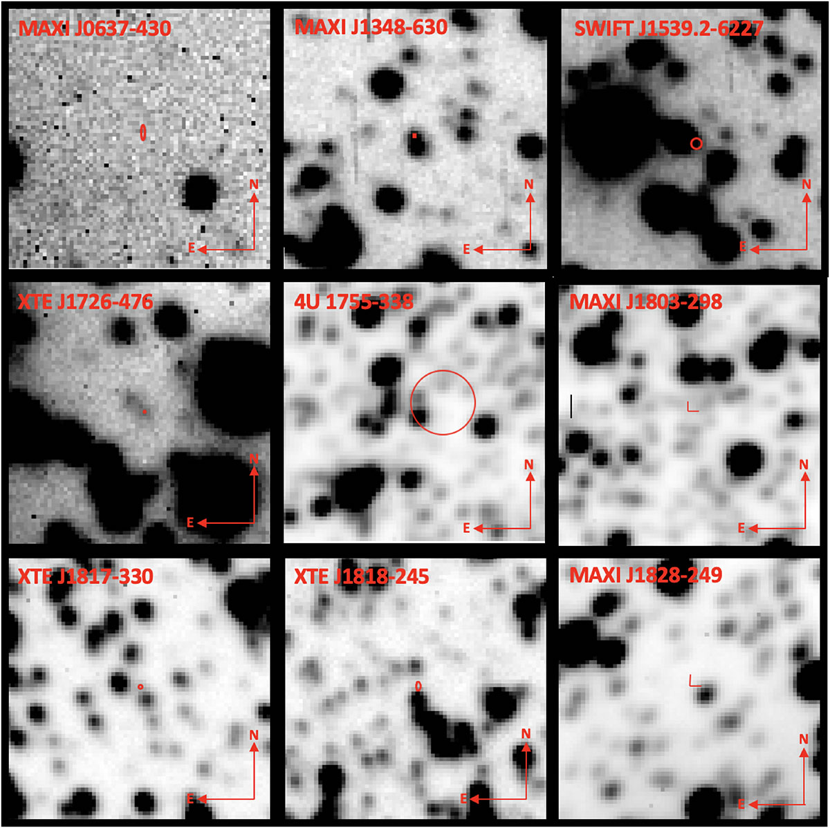 Fig. 2. Refer to the following caption and surrounding text.