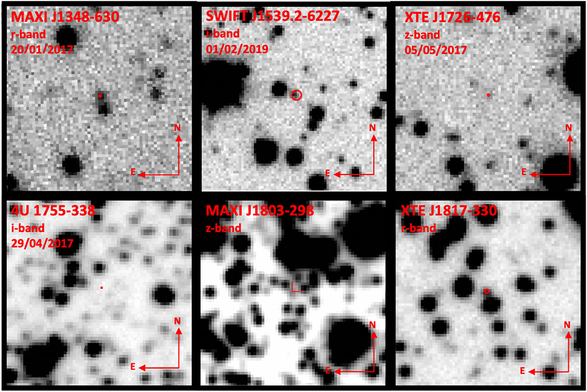 Fig. 4. Refer to the following caption and surrounding text.