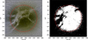 Thumbnail: Fig. 1 Refer to the following caption and surrounding text.