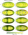Thumbnail: Fig. C.3 Refer to the following caption and surrounding text.