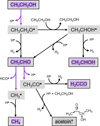 Thumbnail: Fig. 4 Refer to the following caption and surrounding text.