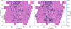 Thumbnail: Fig. 12 Refer to the following caption and surrounding text.