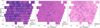 Thumbnail: Fig. 4 Refer to the following caption and surrounding text.