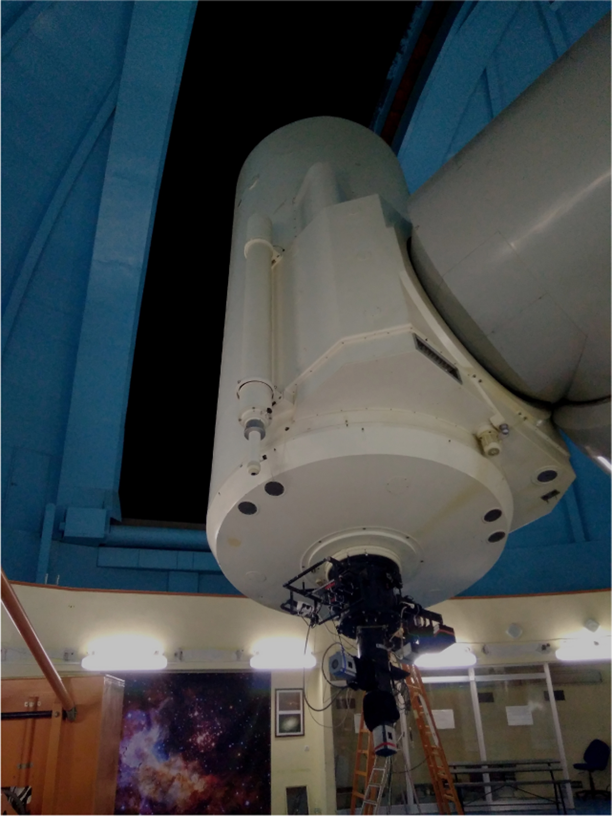 Fig. 1 Refer to the following caption and surrounding text.