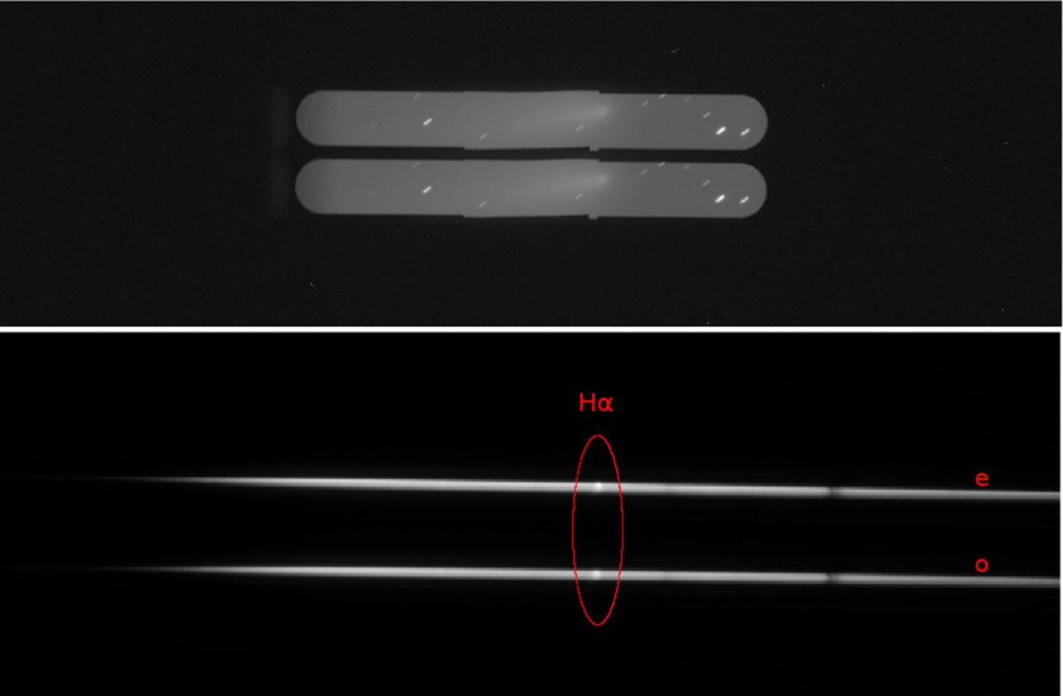 Fig. 5 Refer to the following caption and surrounding text.