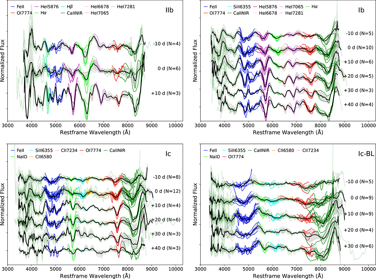 Fig. 6. Refer to the following caption and surrounding text.