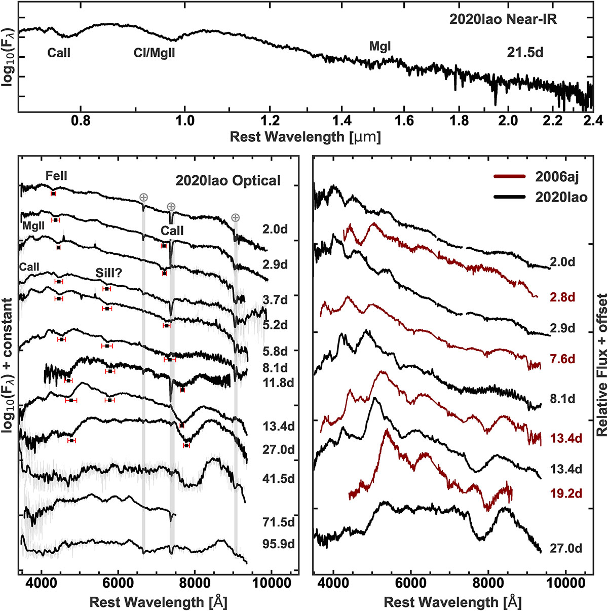 Fig. 3. Refer to the following caption and surrounding text.