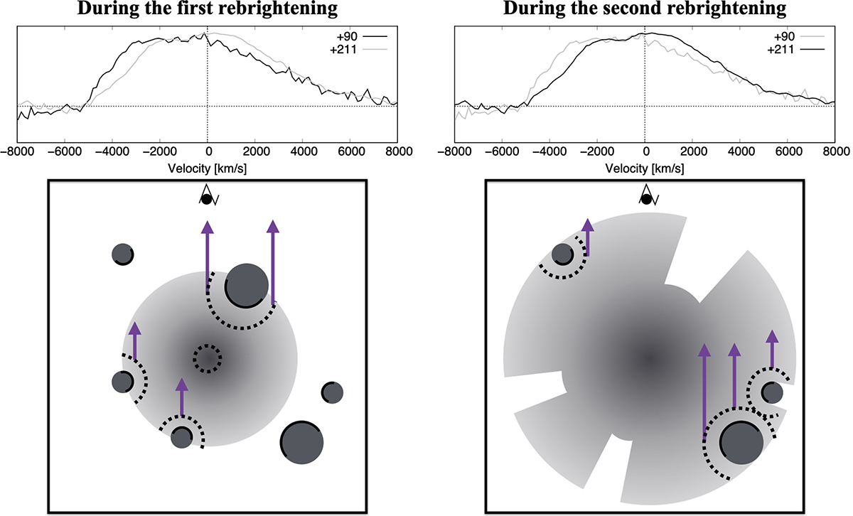 Fig. 3. Refer to the following caption and surrounding text.