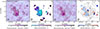Thumbnail: Fig. 7. Refer to the following caption and surrounding text.