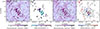 Thumbnail: Fig. 8. Refer to the following caption and surrounding text.