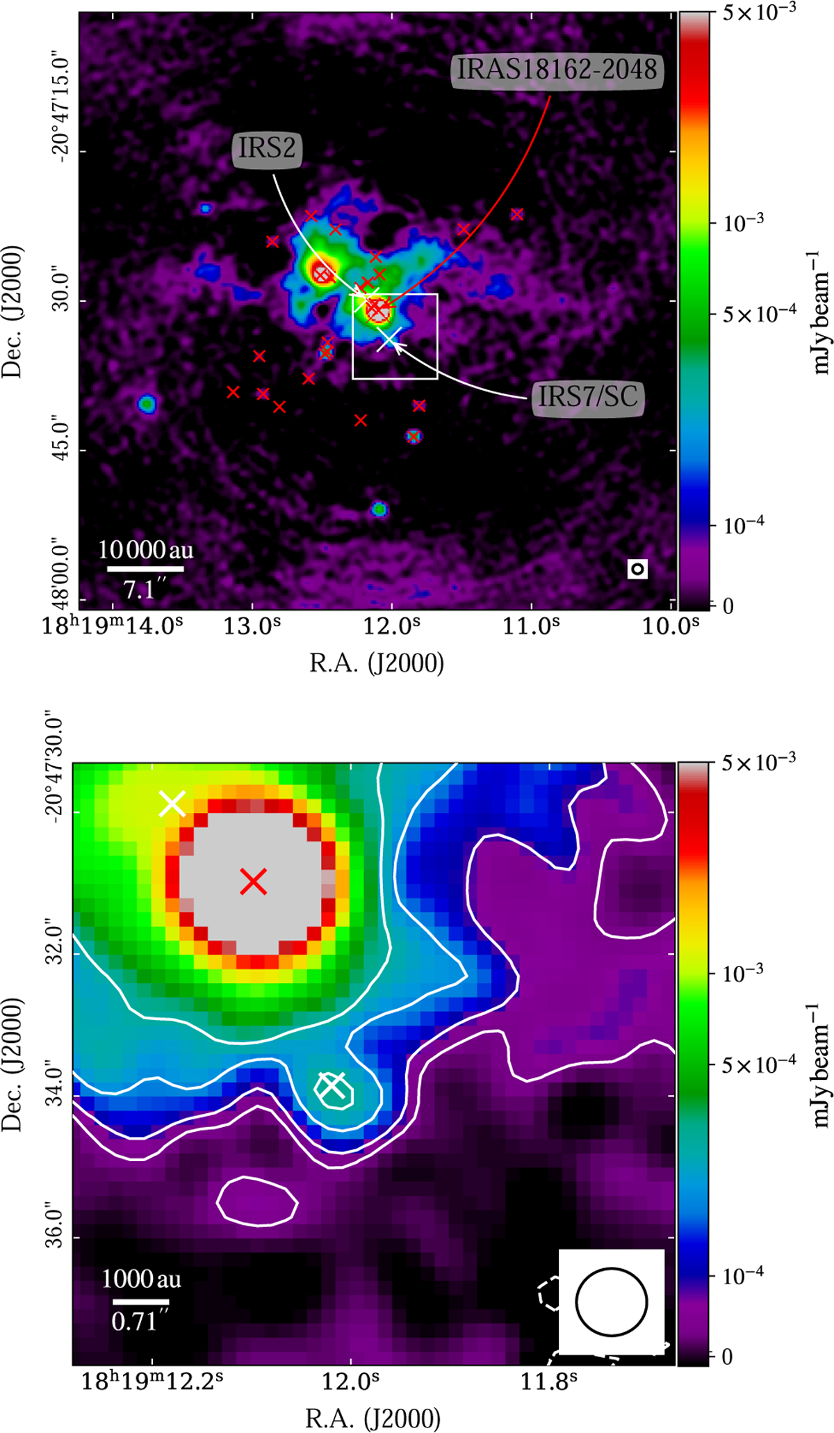 Fig. 7 Refer to the following caption and surrounding text.