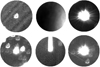 Thumbnail: Fig. 2 Refer to the following caption and surrounding text.