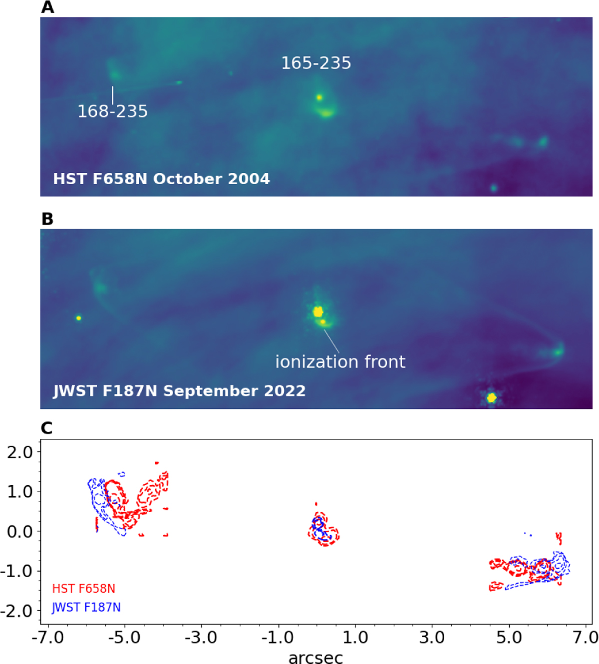 Fig. 4 Refer to the following caption and surrounding text.