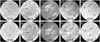 Thumbnail: Fig. 12 Refer to the following caption and surrounding text.