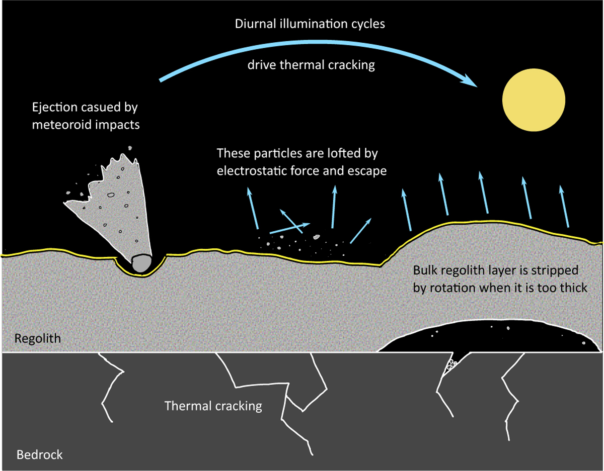 Fig. 3 Refer to the following caption and surrounding text.
