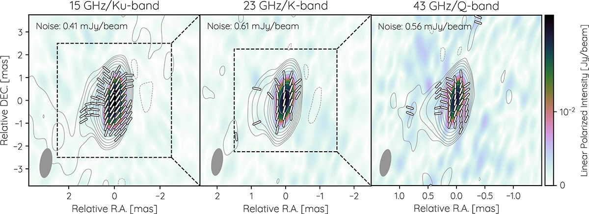 Fig. 3. Refer to the following caption and surrounding text.