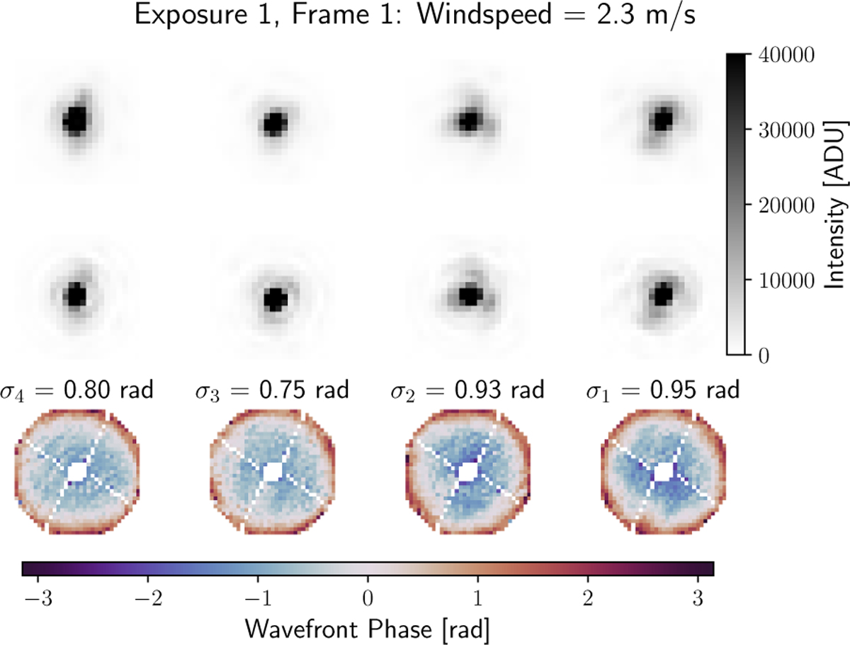 Fig. 6 Refer to the following caption and surrounding text.