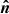 Mathematical equation: $ \boldsymbol{\hat{n}} $