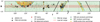 Thumbnail: Fig. 1 Refer to the following caption and surrounding text.