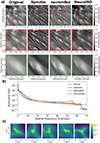 Thumbnail: Fig. 8. Refer to the following caption and surrounding text.
