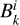 Mathematical equation: $B_k^i$