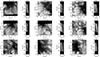 Thumbnail: Fig. 2. Refer to the following caption and surrounding text.