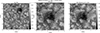 Thumbnail: Fig. 7. Refer to the following caption and surrounding text.