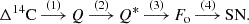 Mathematical equation: $$ \begin{aligned} \Delta ^{14}\mathrm{C} \mathop {\longrightarrow }\limits ^{(1)} Q \mathop {\longrightarrow }\limits ^{(2)} Q^* \mathop {\longrightarrow }\limits ^{(3)} F_{\rm o} \mathop {\longrightarrow }\limits ^{(4)} \mathrm{SN}. \end{aligned} $$
