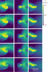 Thumbnail: Fig. A.8 Refer to the following caption and surrounding text.