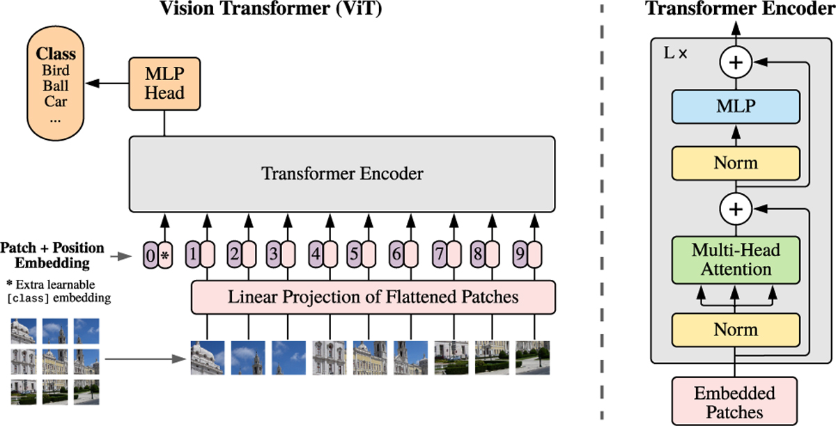 Fig. 1 Refer to the following caption and surrounding text.