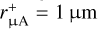 Mathematical equation: $r^{+}_{\rm \upmu{\rm A}} = 1\,\upmu{\rm m}$
