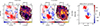 Thumbnail: Fig. 3. Refer to the following caption and surrounding text.