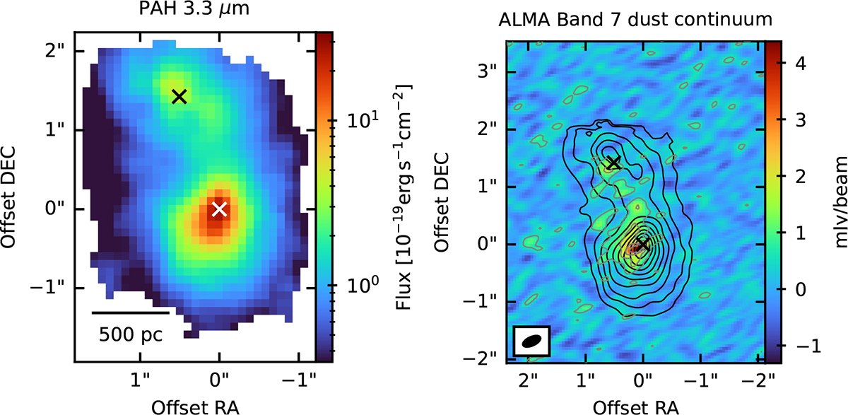 Fig. 4. Refer to the following caption and surrounding text.
