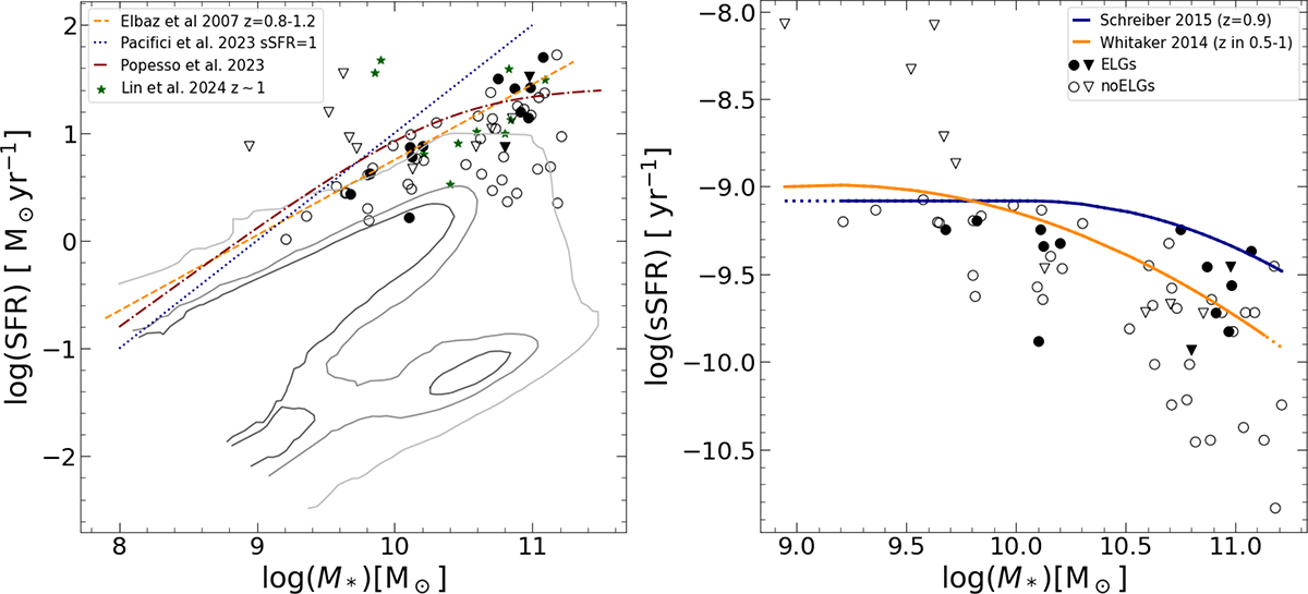 Fig. 7. Refer to the following caption and surrounding text.