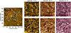 Thumbnail: Fig. B1. Refer to the following caption and surrounding text.