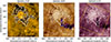 Thumbnail: Fig. 2. Refer to the following caption and surrounding text.