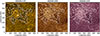 Thumbnail: Fig. 7. Refer to the following caption and surrounding text.