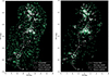 Thumbnail: Fig. 16. Refer to the following caption and surrounding text.