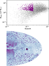 Thumbnail: Fig. 2. Refer to the following caption and surrounding text.