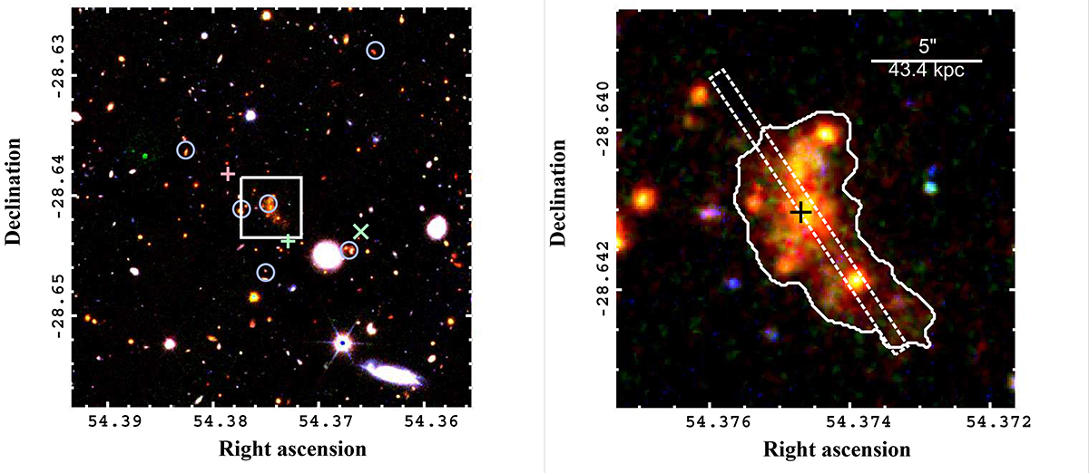Fig. 1. Refer to the following caption and surrounding text.