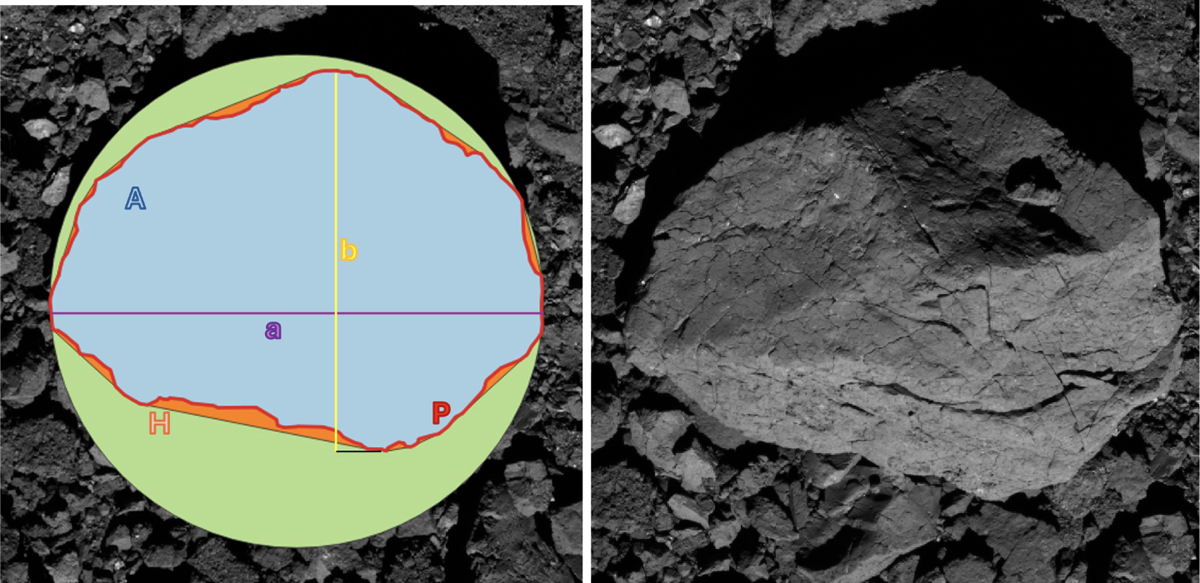 Fig. 2 Refer to the following caption and surrounding text.