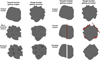 Thumbnail: Fig. 9 Refer to the following caption and surrounding text.