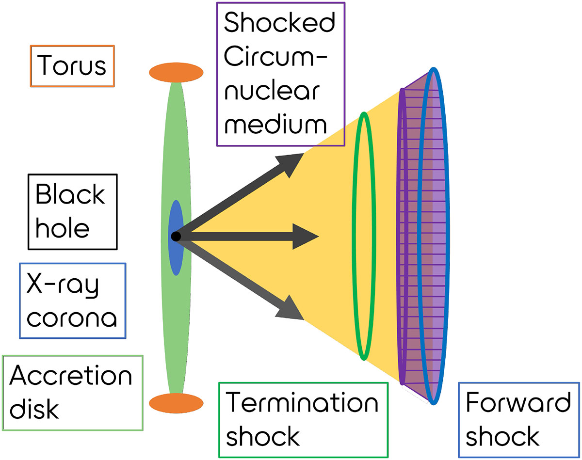 Fig. 2. Refer to the following caption and surrounding text.