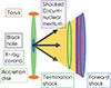 Thumbnail: Fig. 2. Refer to the following caption and surrounding text.