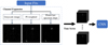 Thumbnail: Fig. 2 Refer to the following caption and surrounding text.