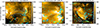 Thumbnail: Fig. 2. Refer to the following caption and surrounding text.