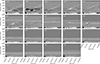 Thumbnail: Fig. 3. Refer to the following caption and surrounding text.