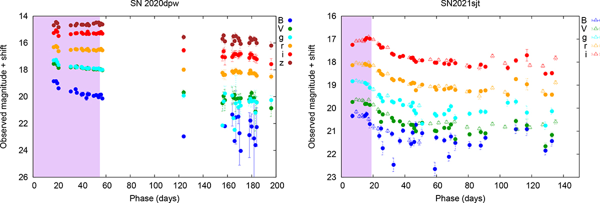 Fig. 2. Refer to the following caption and surrounding text.