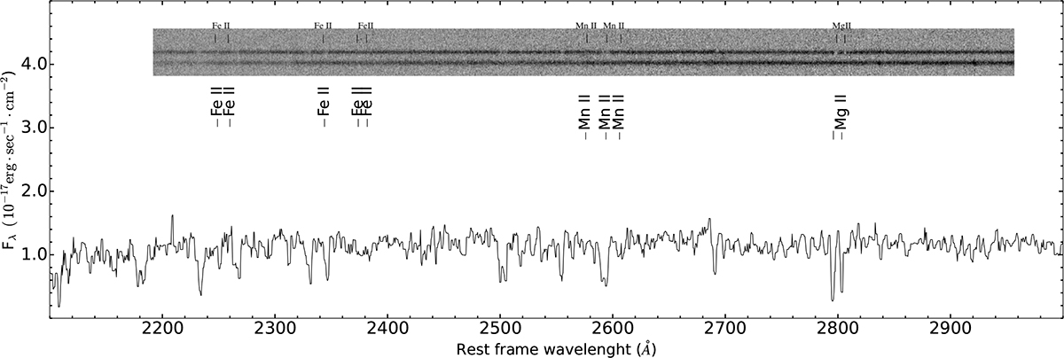 Fig. 6. Refer to the following caption and surrounding text.